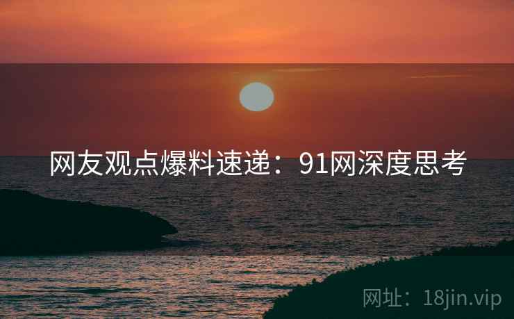 网友观点爆料速递：91网深度思考