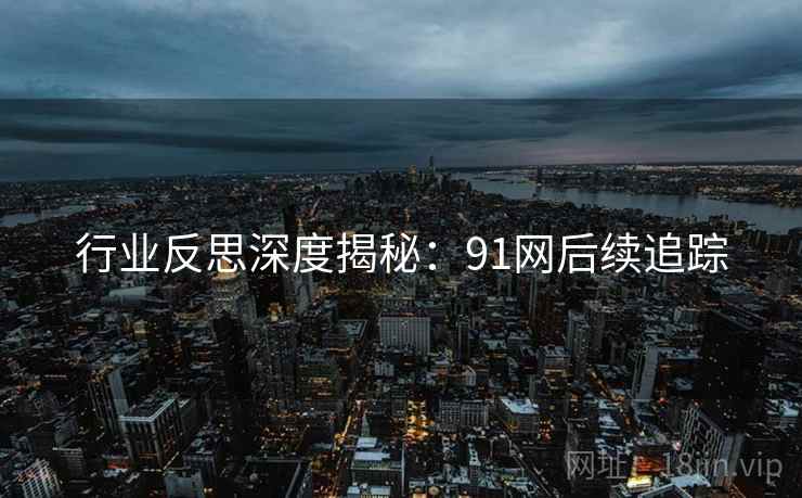 行业反思深度揭秘：91网后续追踪