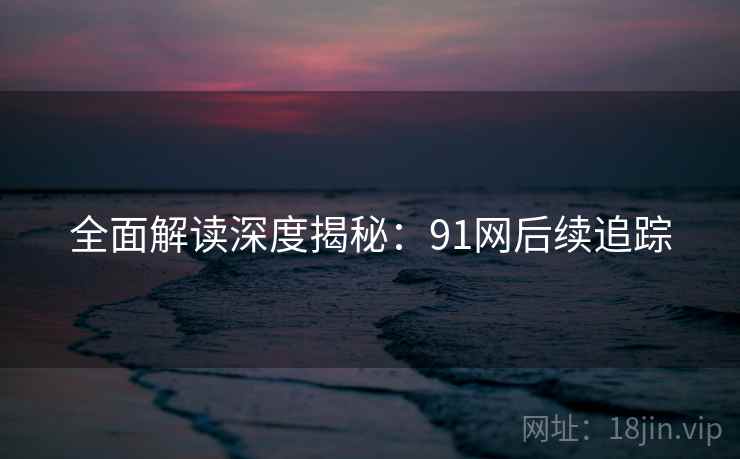 全面解读深度揭秘：91网后续追踪