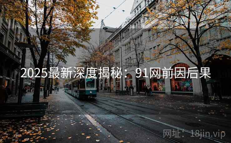 2025最新深度揭秘：91网前因后果