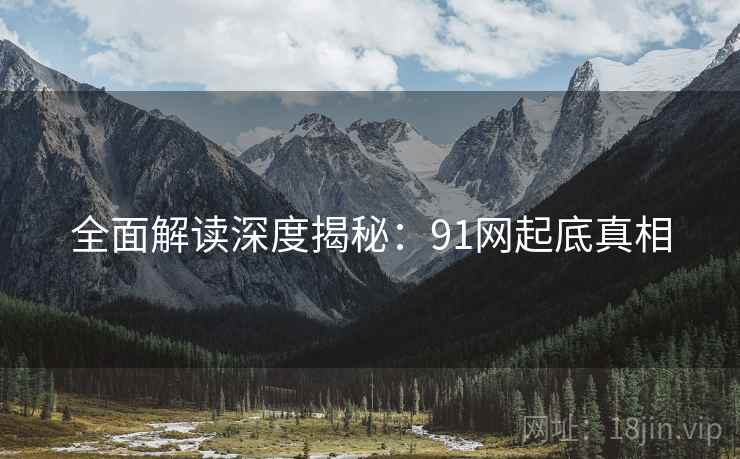 全面解读深度揭秘：91网起底真相