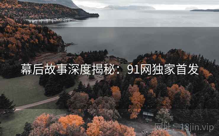 幕后故事深度揭秘：91网独家首发