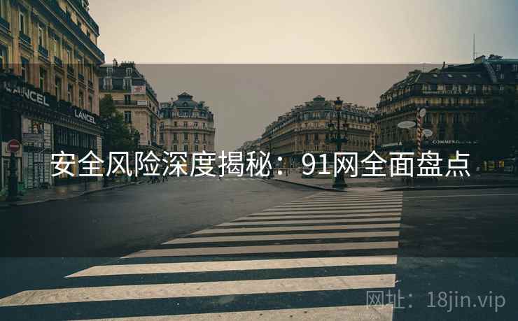 安全风险深度揭秘：91网全面盘点
