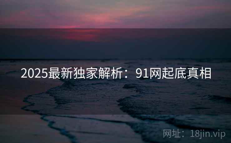 2025最新独家解析：91网起底真相