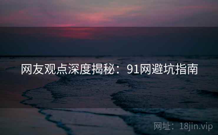 网友观点深度揭秘：91网避坑指南